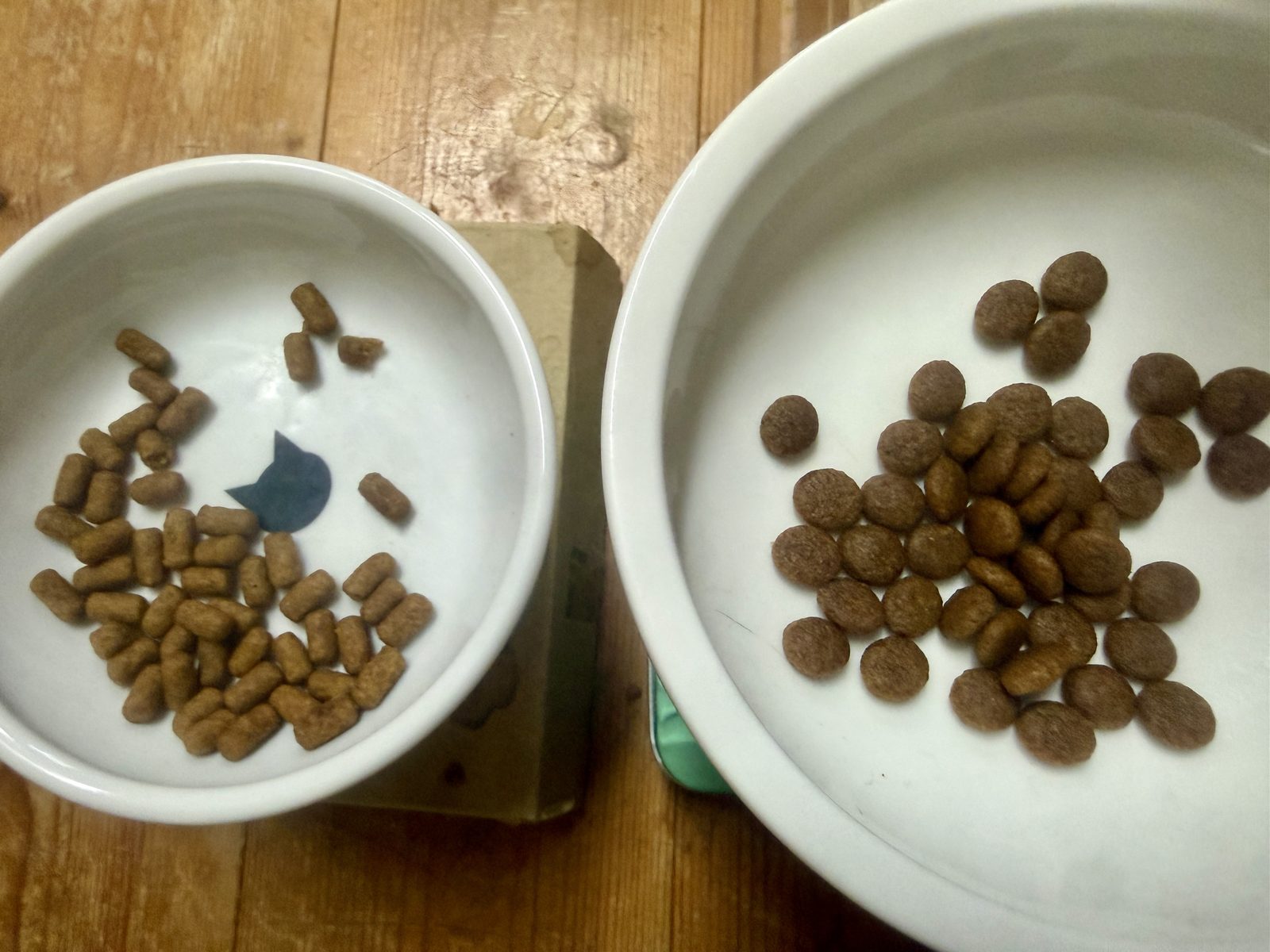 2つの白い器に入れて並べた療法食の粒。左は細長い円筒形、右は丸くて平たい形