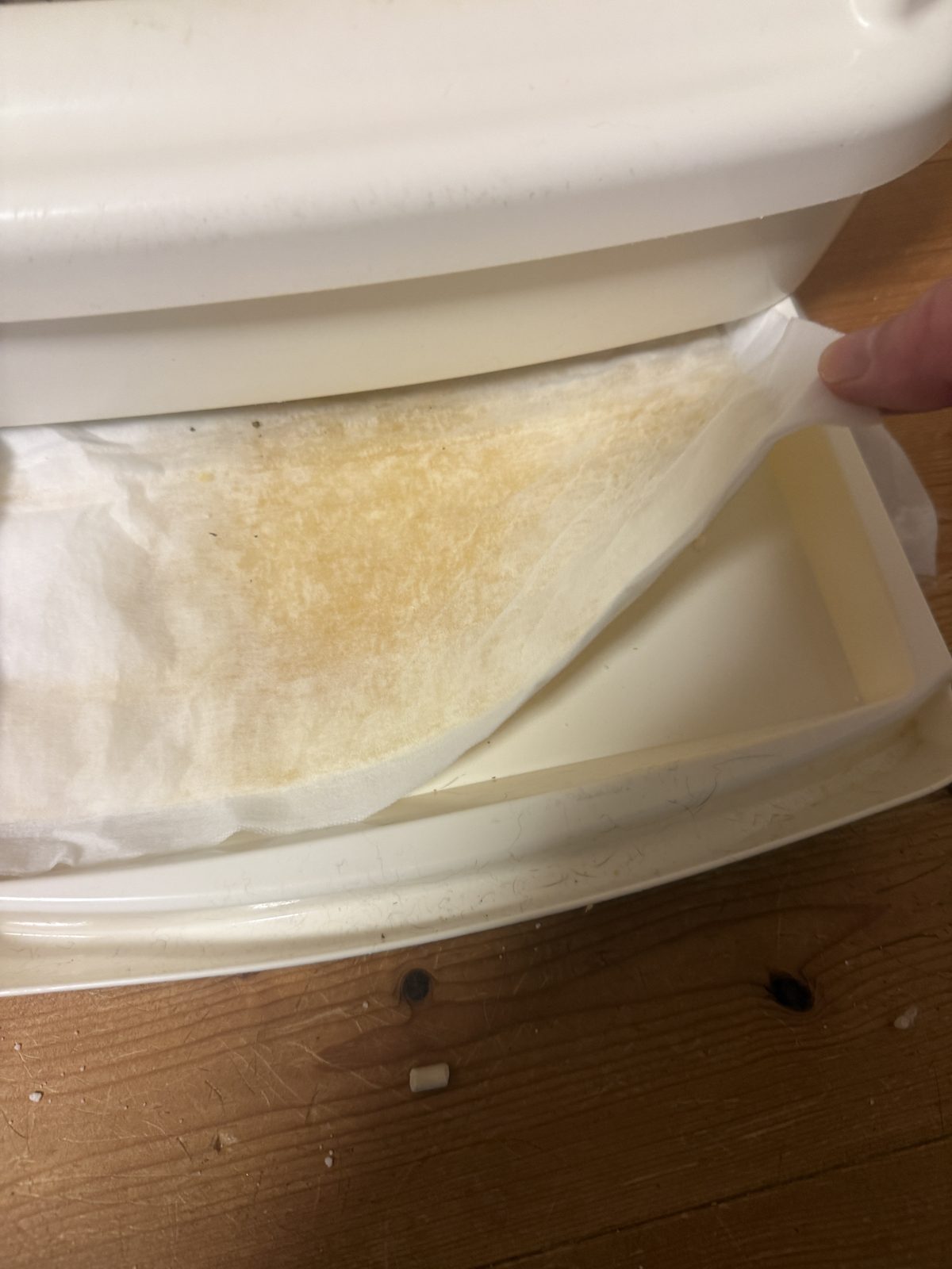 二層式猫トイレの引き出し。ここに落ちた尿をスポイトで吸い上げる